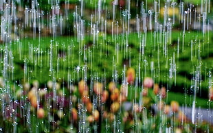 person showing a rain drop HD wallpaper