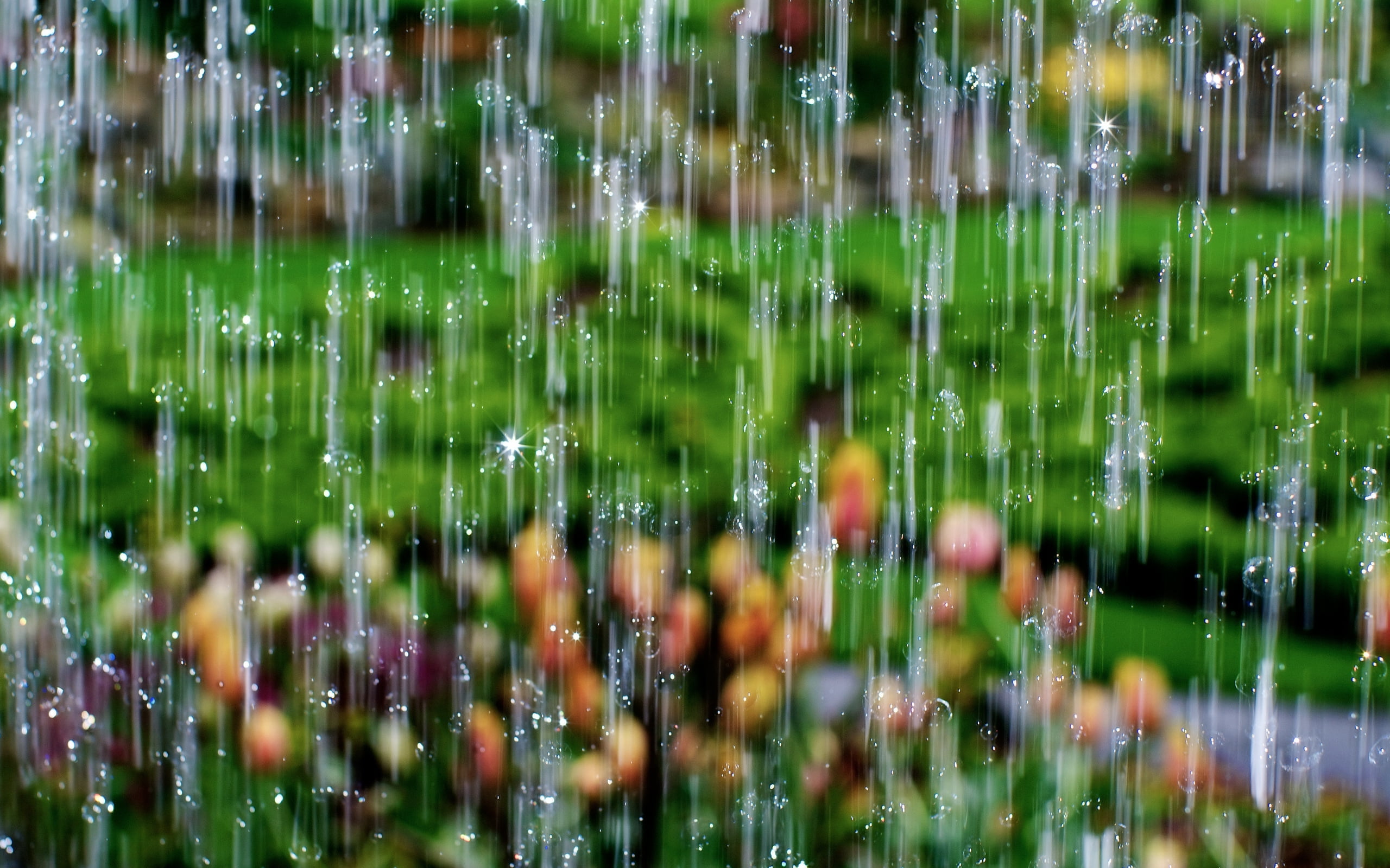 person showing a rain drop