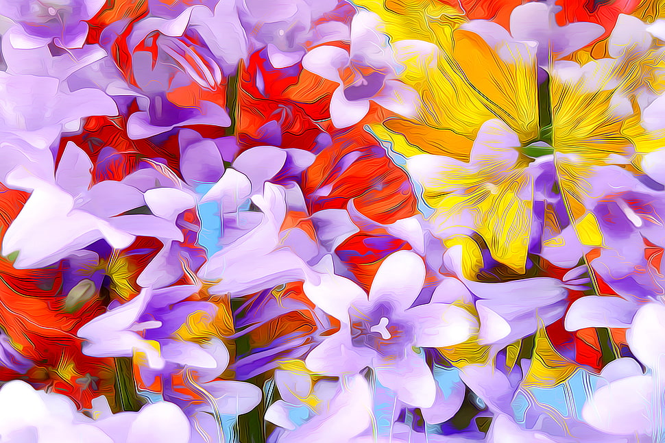 purple and yellow petaled flowers HD wallpaper