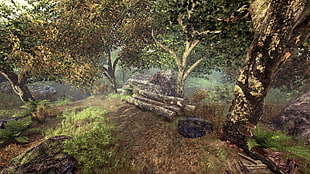 green leafed tree, nature, landscape, The Elder Scrolls V: Skyrim, trees