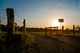 silhouette of fence, sunset, sunlight, sun rays, signs