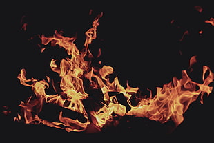 orange fire, Bonfire, Fire, Flame HD wallpaper