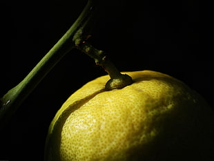 ripe yellow citrus fruit