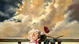 white and red rose on brown wooden fence