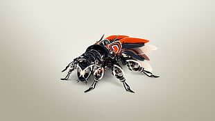 black and orange wasp illustration HD wallpaper