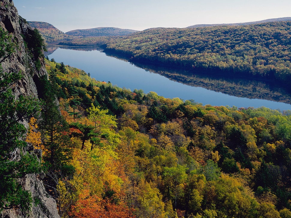 River,  Forest,  Trees,  View from above HD wallpaper