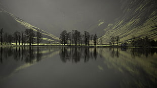 panoramic view of trees and lake photo HD wallpaper
