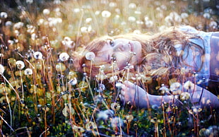 woman lying on bed of dandelion flowers