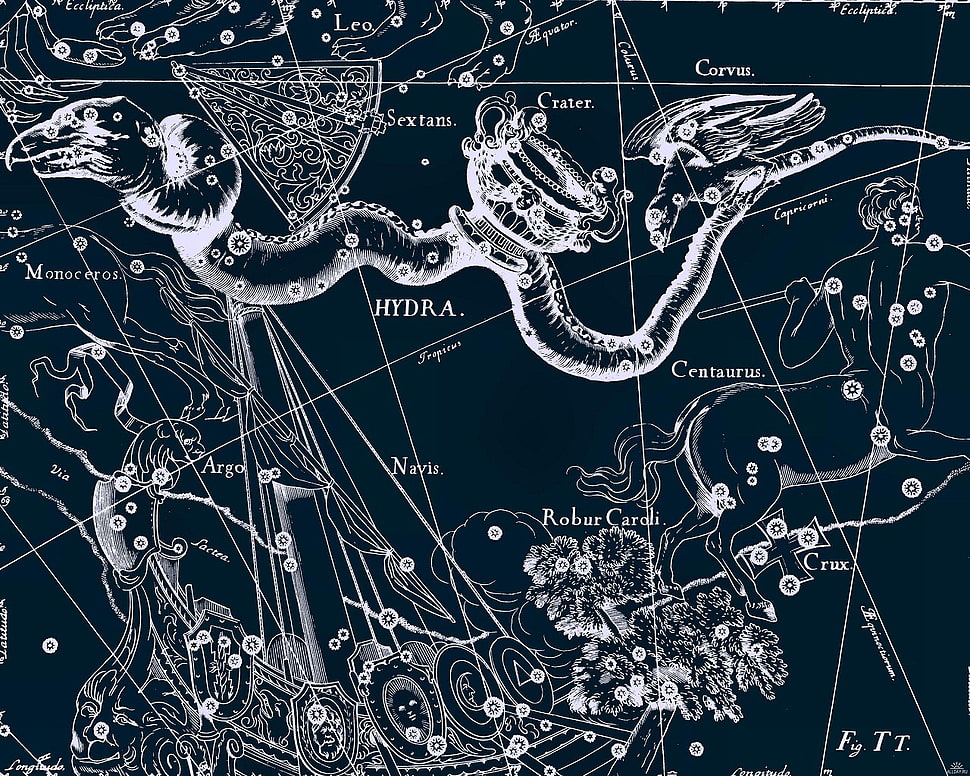 black and white floral textile, map, hydra HD wallpaper