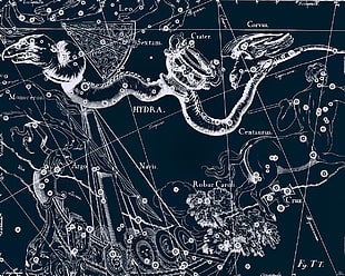 black and white floral textile, map, hydra