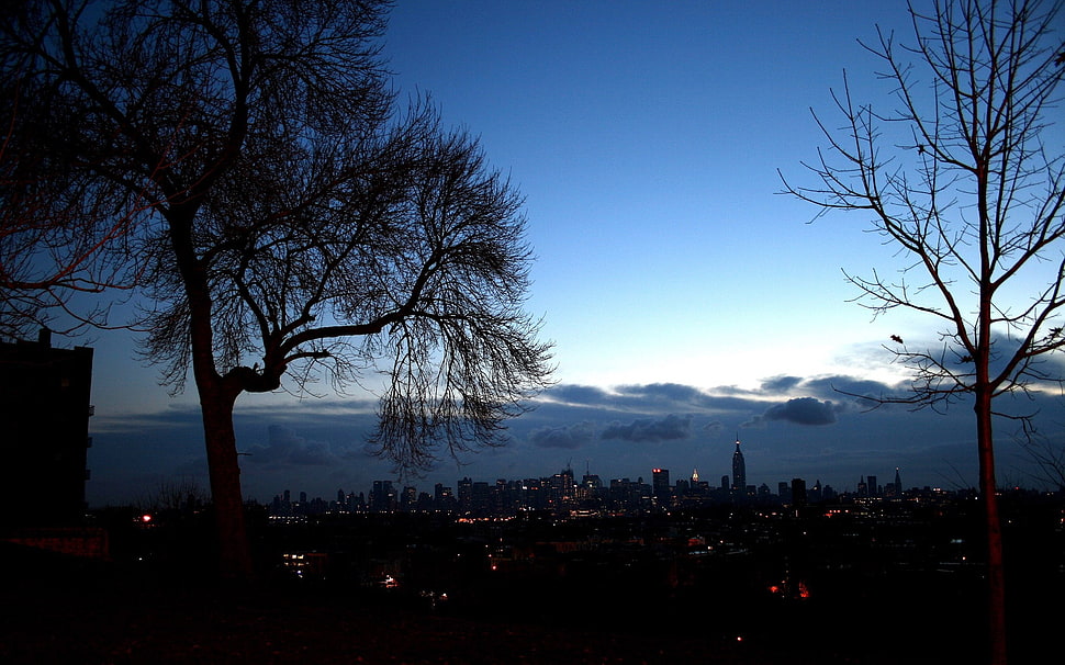 night time scenery HD wallpaper