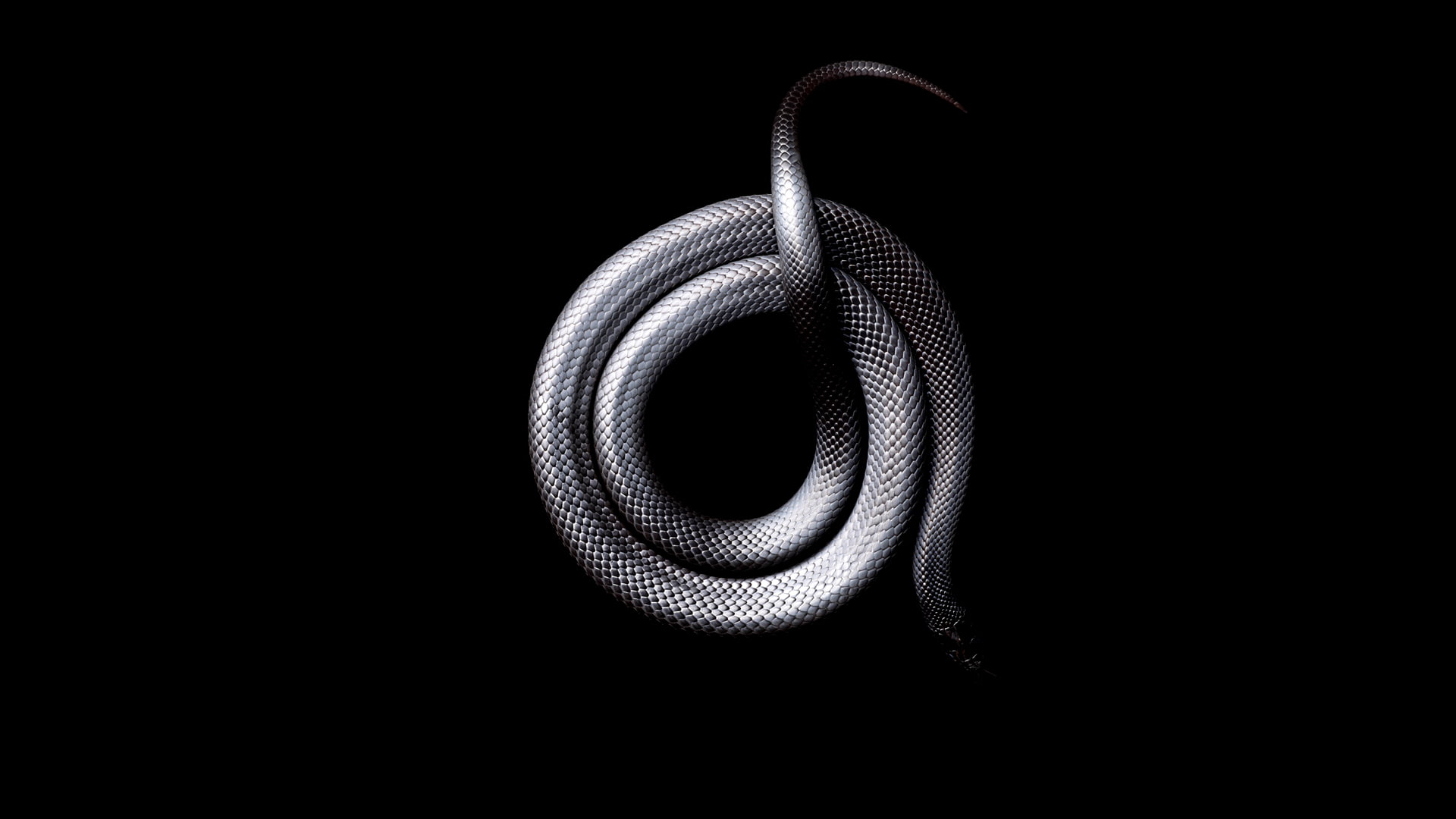 Aggregate 80+ black snake wallpaper 4k latest - xkldase.edu.vn