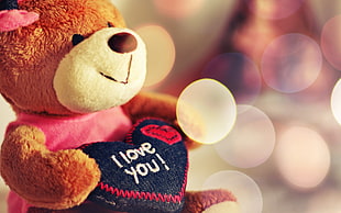 selective focus photography of brown teddy bear holding embroider I Love You! black heart pillow with bokeh light background