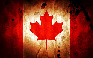 Canada flag, Canada, Canadian flag, red, flag