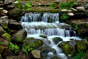 photo of water falls, fern, yosemite national park HD wallpaper