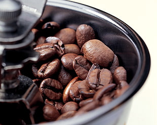 close-up photograph of coffee beans HD wallpaper
