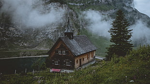 brown and black house, temple, church, lake, mountains