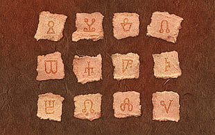 ancient script paper pieces