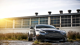 black sedan, Aston Martin, car, vehicle, sunlight