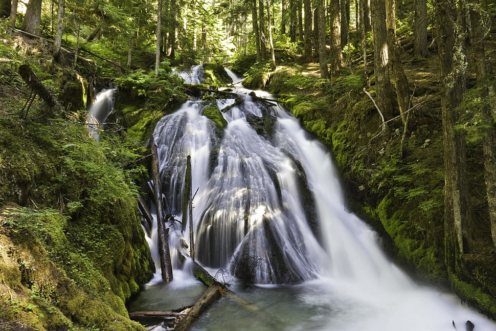 waterfalls in the forest HD wallpaper