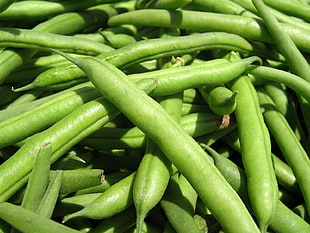green vegetable lot, food, eating HD wallpaper