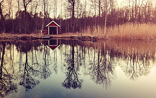 red and white shed, nature, lake, reflection, water