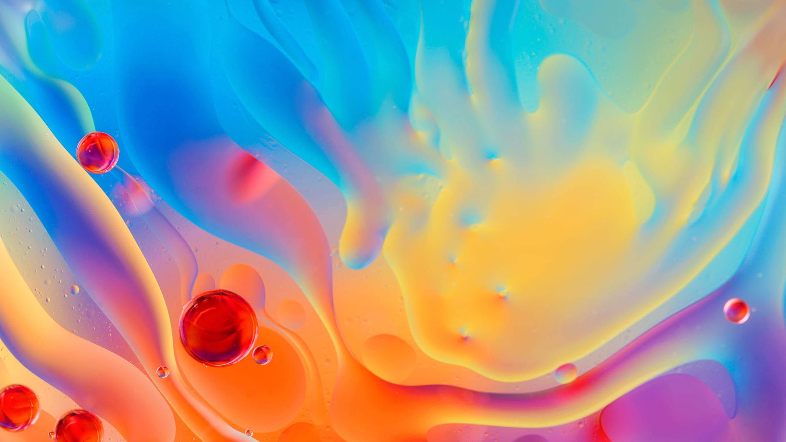 Online crop | blue and orange abstract painting HD wallpaper