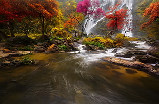 body of water between rocks and plants painting, nature, long exposure, waterfall, trees