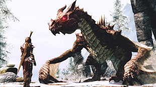 brown wyvern illustration, The Elder Scrolls V: Skyrim, warrior, dragon, video games