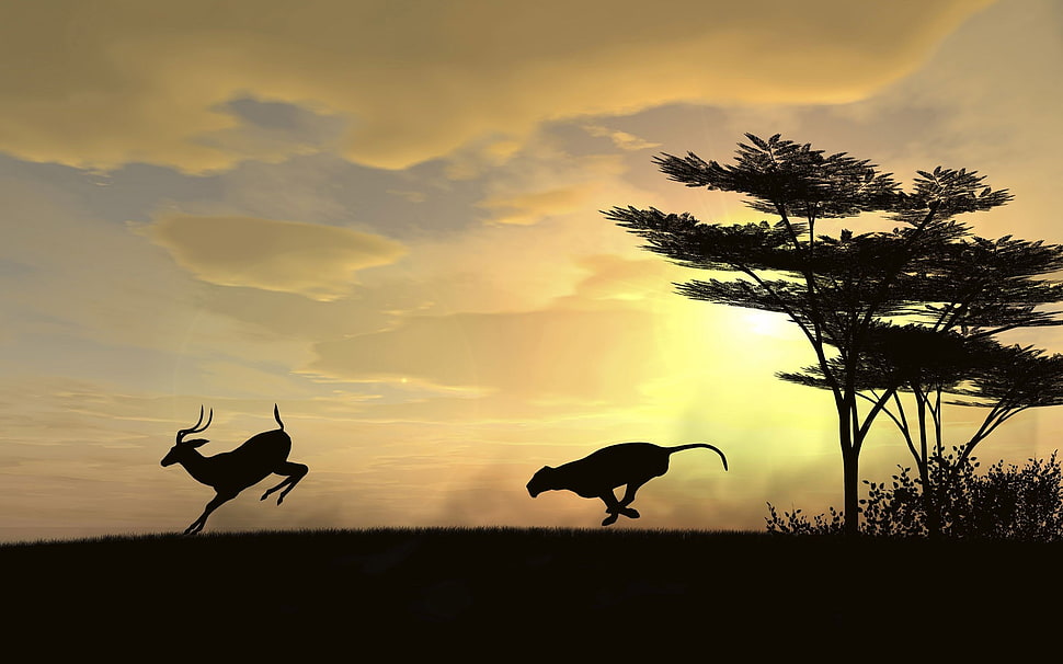 deer and cheetah, sunset, trees, deer, clouds HD wallpaper