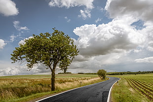 gray road surrounded by green grass field under gray cumulus clouds