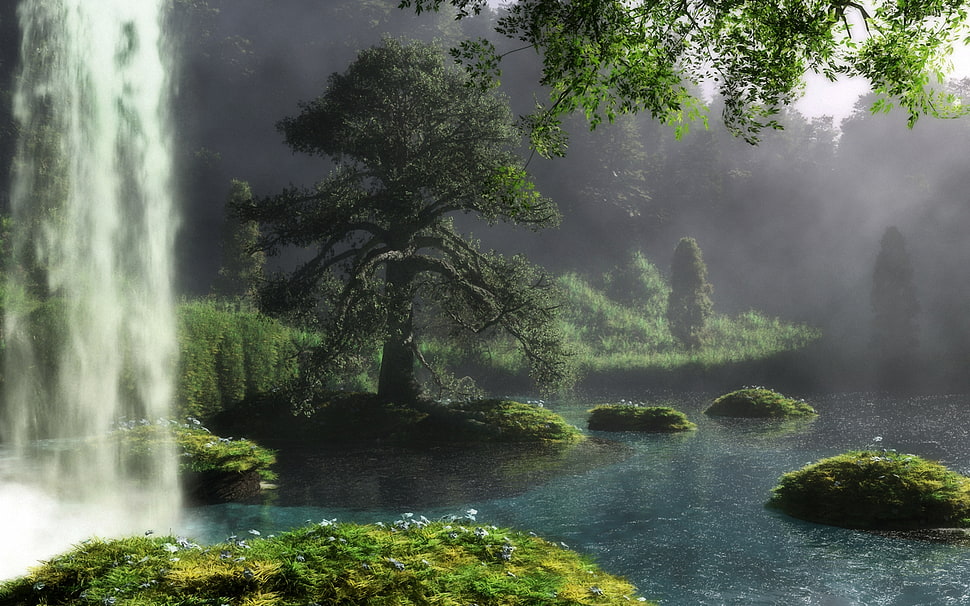 green leaf tree HD wallpaper
