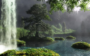 green leaf tree