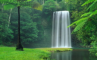 waterfall in the middle of the forest at daytime