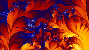shallow focus of orange and blue flowers