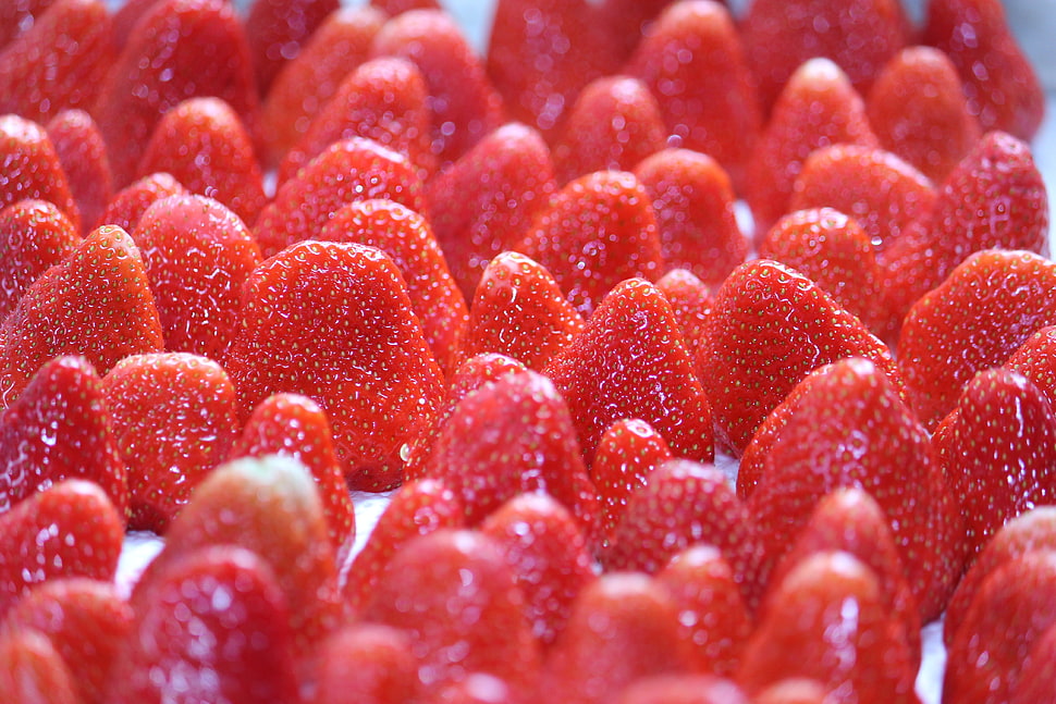 strawberry lot HD wallpaper