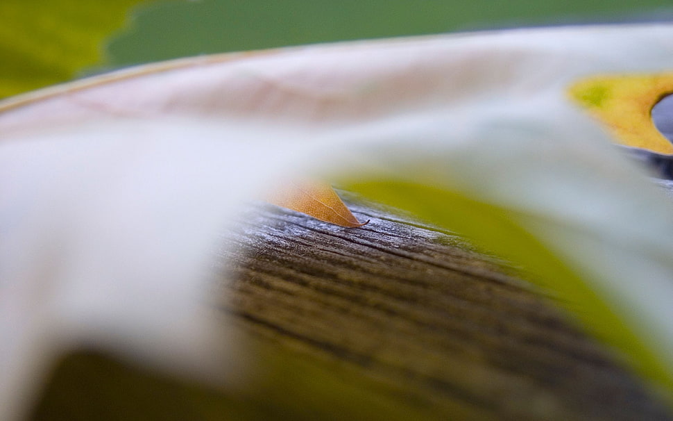 Sheet,  Blur,  Background HD wallpaper