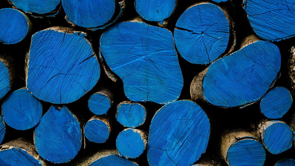 tree log lot, wood, texture, blue HD wallpaper