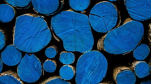 tree log lot, wood, texture, blue HD wallpaper
