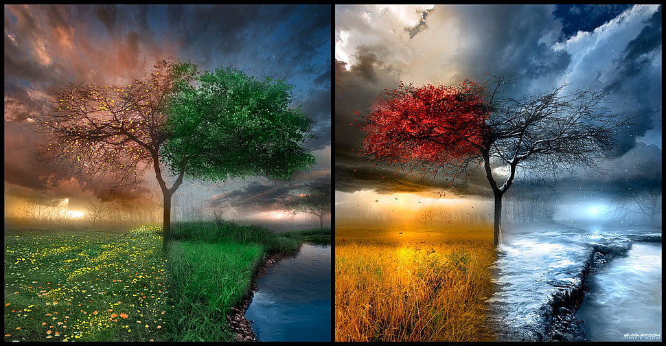 four seasons tree painting, landscape, trees, water, clouds HD wallpaper