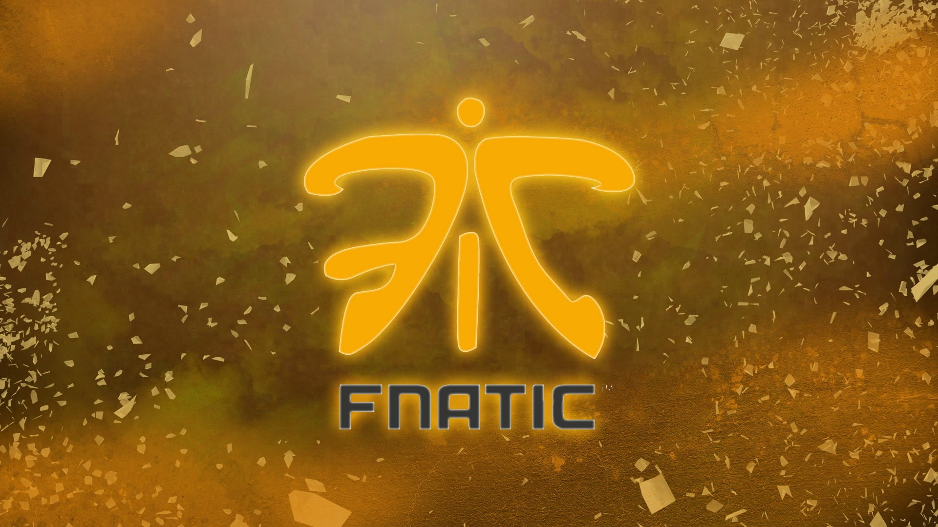 Fnatic Esports logo