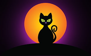black cat in front of orange ball