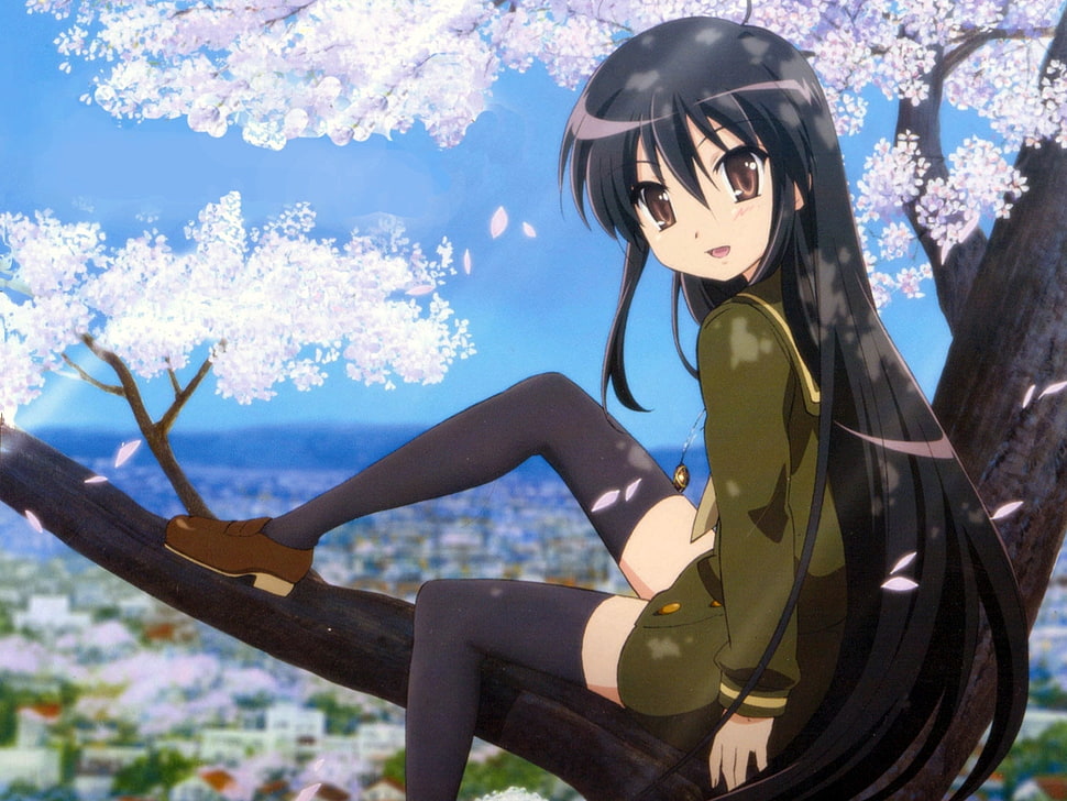 black haired woman from anime sitting on tree HD wallpaper