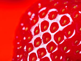 shallow focus photography of red strawberry HD wallpaper