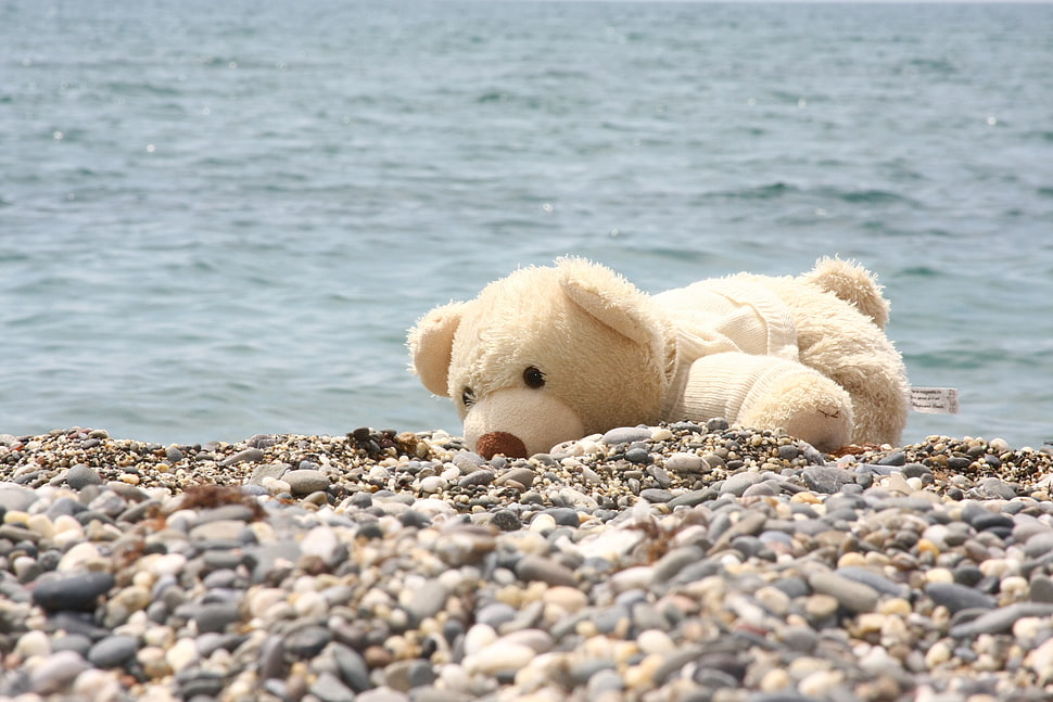 white teddy bear beside seashore at daytime HD wallpaper