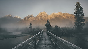 photography, mountains, water, mist