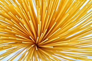 macro photography of uncooked spaghetti noodles