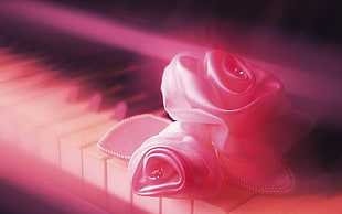 pink rose on piano