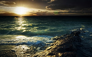 blue and gray shoreline, sea, coast, sunlight, sky HD wallpaper