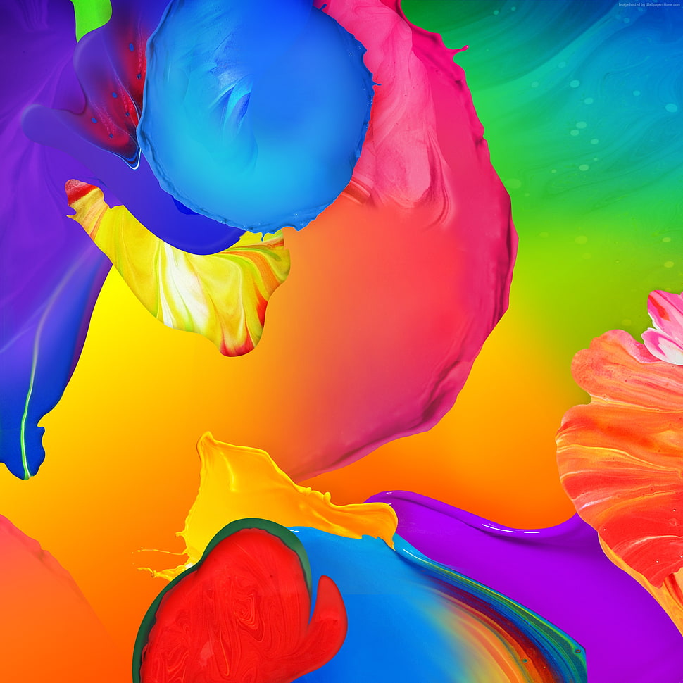 assorted-color paint digital wallpaper HD wallpaper
